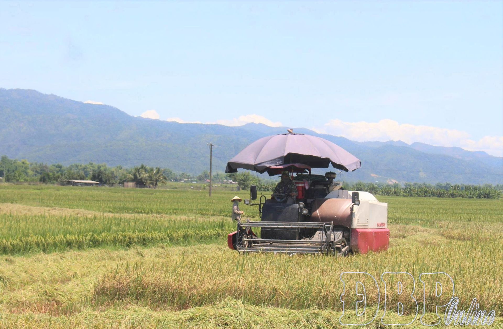 Hạ tầng đi trước mở đường cho nông nghiệp phát triển