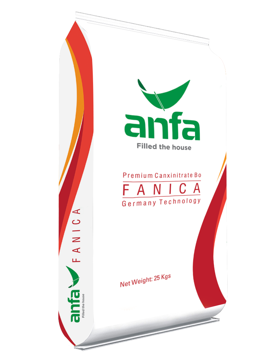 FANICA