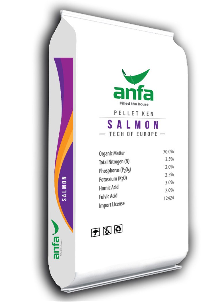 ANFA SALMON